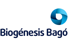 Cursos de Oracle Primavera